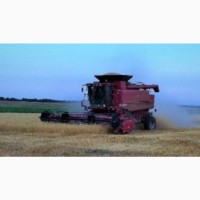 Комбайн Case-IH 2388 2002 г/в, двигатель:310 л. с., жатка: 6.7м.рапс. тележка