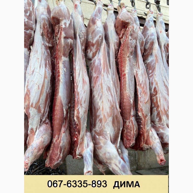 Фото 2. Продаємо м’ясо свинини в півтушах, обрізну, охолоджена та заморожена