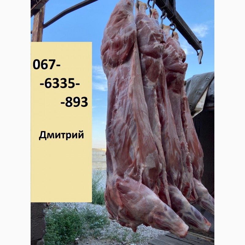 Фото 3. Продаємо м’ясо свинини в півтушах, обрізну, охолоджена та заморожена