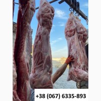 Продаємо м’ясо свинини в півтушах, обрізну, охолоджена та заморожена