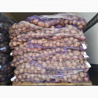 Продам оптом товарный картофель из Белоруссии
