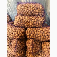 ФГ продає насінневу картоплю сортів Гранада та Королева Анна від виробника