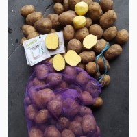 Продам картофель собственного производства