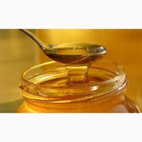 Продаю травневий мед, первоцвіти