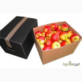 Яблочный ящик (телескоп) Комплект крышка-Дно