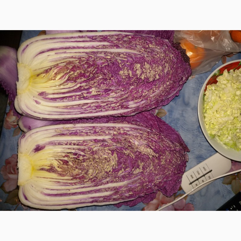 Фото 7. Пекінська капуста фіолетова