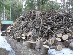 Фото 3. Закупаем отходы древесины от 500 м куб