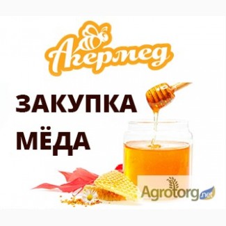 Закупка мёда по Украине