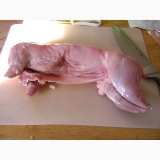 Продам кроляче м#039;ясо