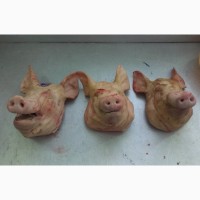 Продам: Свиные Головы, Язык, Уши, Щека