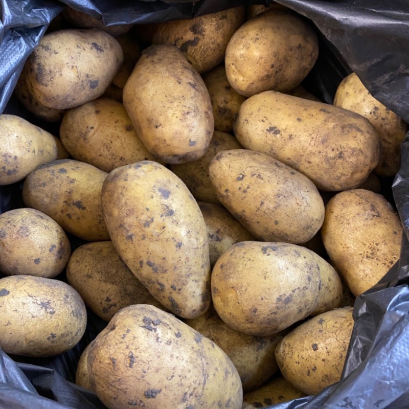 Фото 15. Продажа картофеля