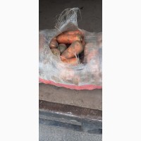 Продам морковь на бюджет