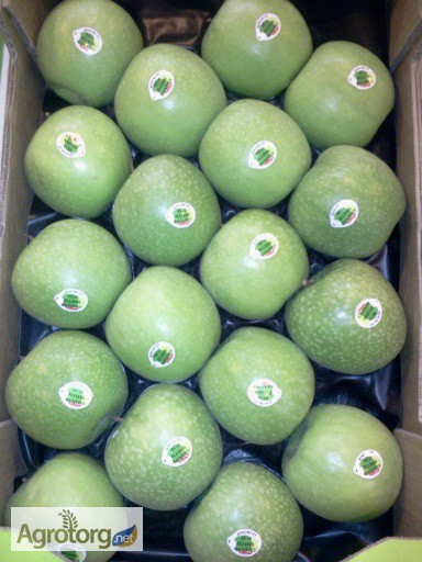 Фото 4. Продаем яблоки из Испании