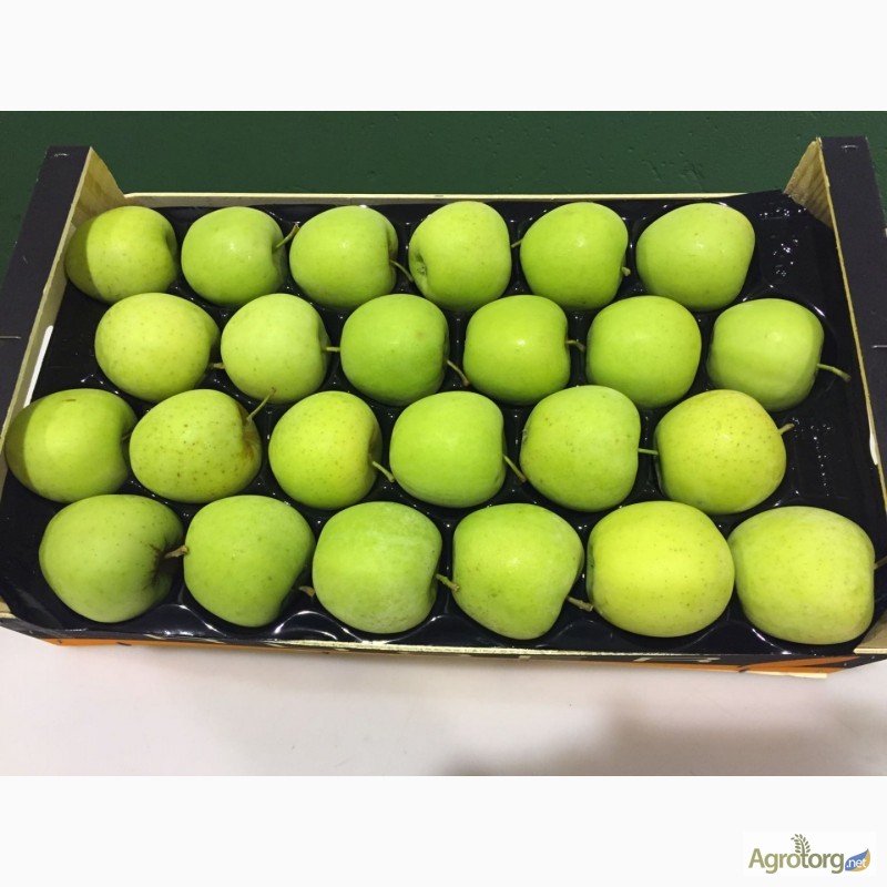 Фото 3. Продаем яблоки из Испании