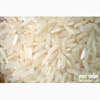 Рис длинный, Пакистан