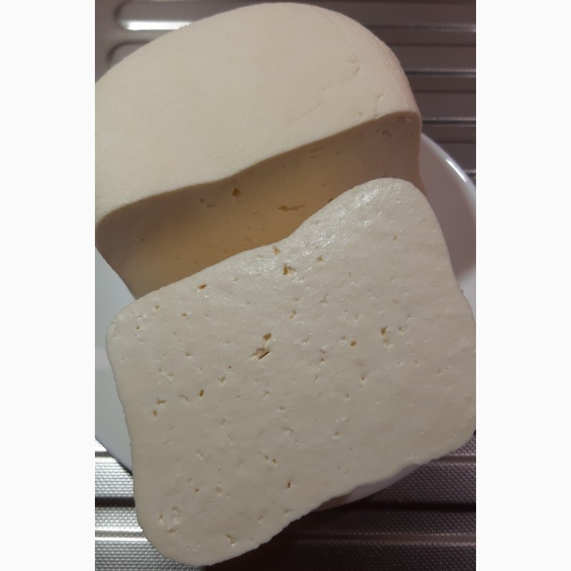 Фото 2. Фета – домашний сыр в оливковом масле