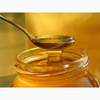 Продам оптом майский мед