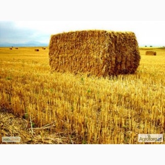 Продам солому пшениці в тюках, 20 кг/шт