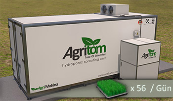 Автоматические гидропонные системы для производства зеленого корма