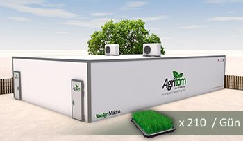 Фото 2. Автоматические гидропонные системы для производства зеленого корма