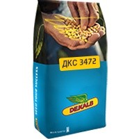 Семена кукурузы Monsanto ДКС 3472 Монсанто на посев, посевная