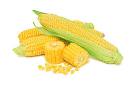 Фото 3. Купимо кукурудзу