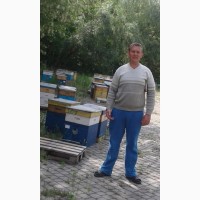 Бджоло пакети рута, дадан на квітень-травень 2020р
