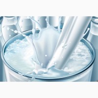 Сквирский Завод Продтоваров интересует молочное оборудование