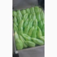 Продам арбуз с холодильника овощи и фрукты от поставщика с Узбекистана