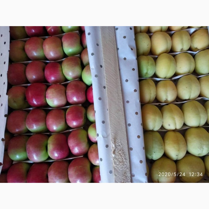 Фото 6. Продам арбуз с холодильника овощи и фрукты от поставщика с Узбекистана