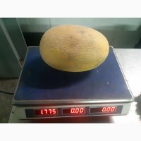 Продам арбуз с холодильника овощи и фрукты от поставщика с Узбекистана