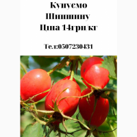 Купуємо каштан на постійній основі, Полтавська обл