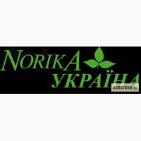 Компания Норика предлагает качественный картофель