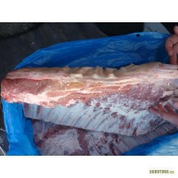 Мясо оптом, полутуши свиные, категория Е (беконка)- Бразилия (Perdigao, Cotrijui) от 25,7