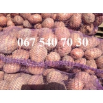 Продам картофель семенной тирас крупный