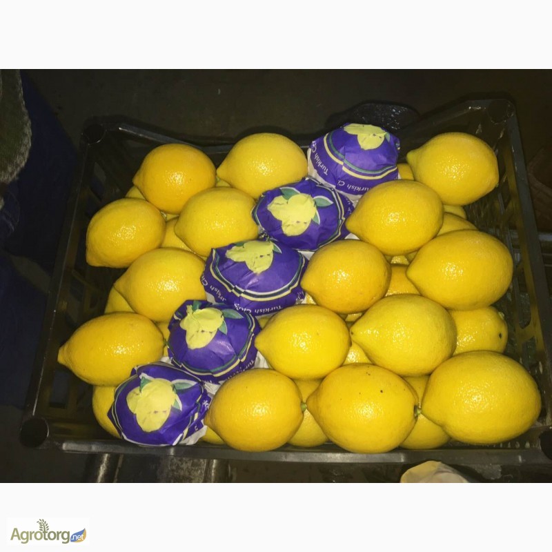 Оптовая продажа лимона прямо с Турции