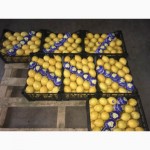 Оптовая продажа лимона прямо с Турции