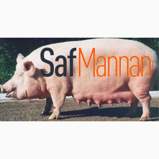 Пребиотик для свиноматок СафМаннан