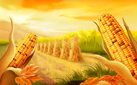 Фото 4. Предприятие закупает кукурузу