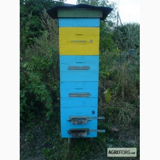 Продам пасеку: пчелосемьи, отводки, сушь, ульи в Харькове