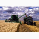 Перевозка зерновых и зернобобовых культур в Украине