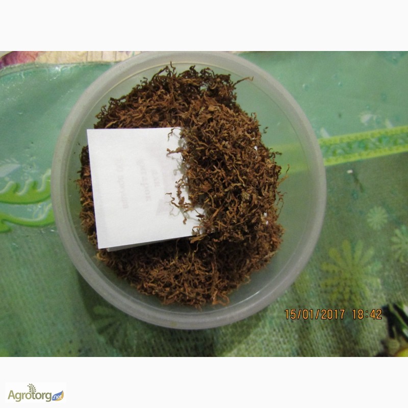 Фото 10. Табак тертый или в листьях
