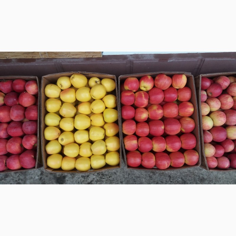 Фото 2. Продажем яблука