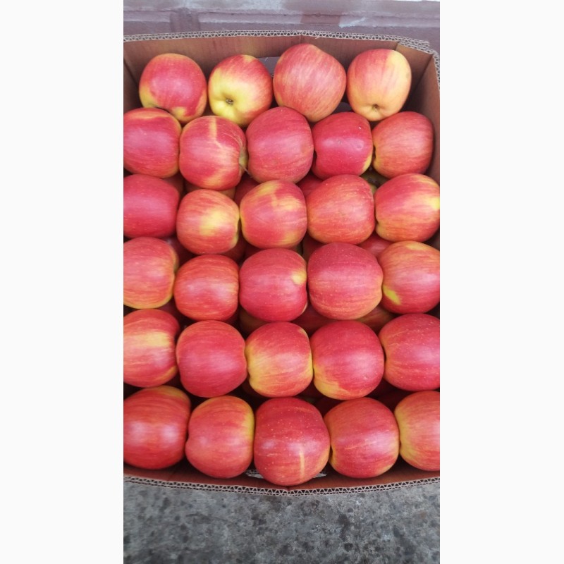 Фото 4. Продажем яблука