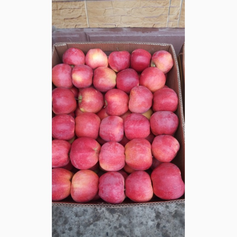 Фото 5. Продажем яблука