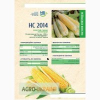 Гибрид кукурузы НС-2014 посевной материал сербская селекция