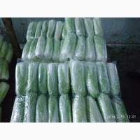Продам капусту Пекинскую
