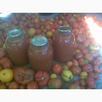 Помидоры домашние - на еду, консервацию, на томат урожай 2019 года