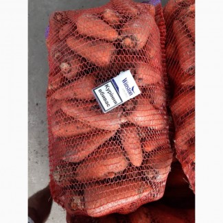 Продам морковь крупными обьёмами.ОПТОВАЯ ЦЕНА 4 грн/килограмм от 20-ти тонн