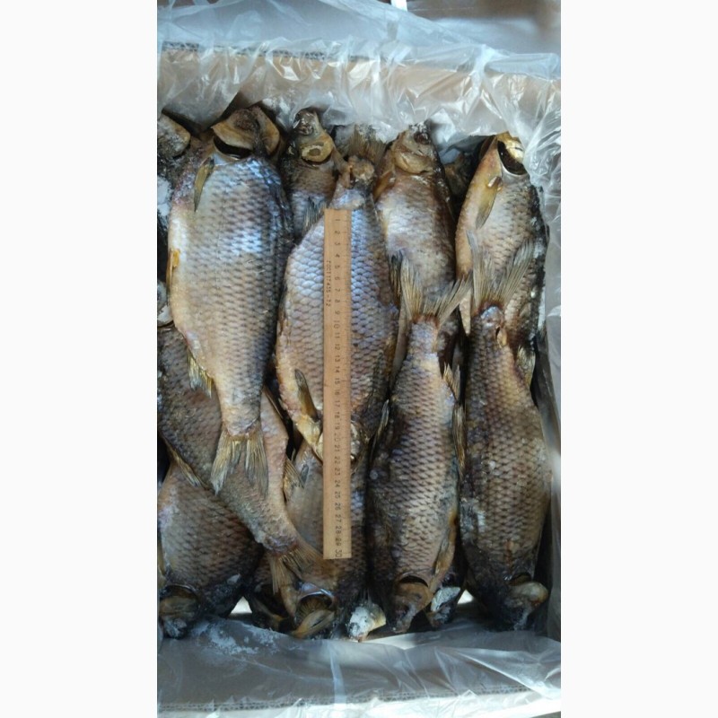 Фото 3. Продам рыбу сушёную